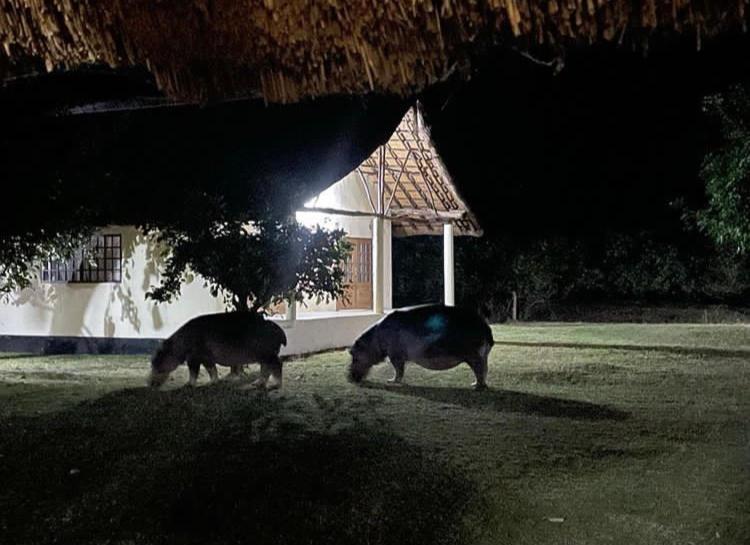 Marula Lodge Mfuwe Exterior foto